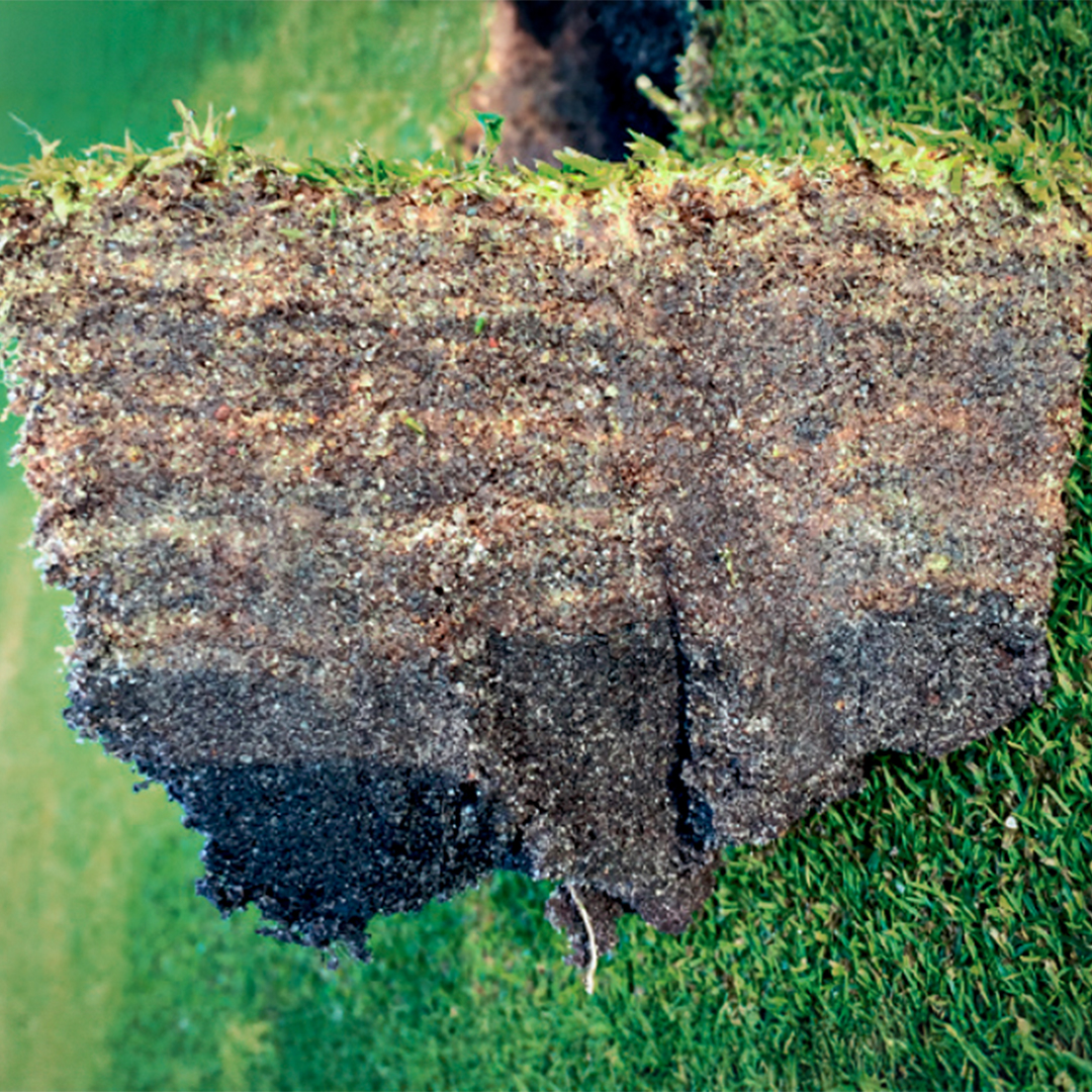 TourTurf® Thatch-Less® FTD Fungi Thatch Degrader 